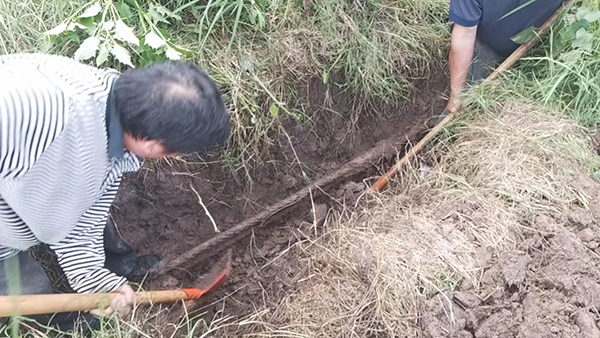 666cfbf10d1c7.jpg 忠縣分公司石寶、紅星客運碼頭對消落期港區系泊設施設備進行維護保養3.jpg