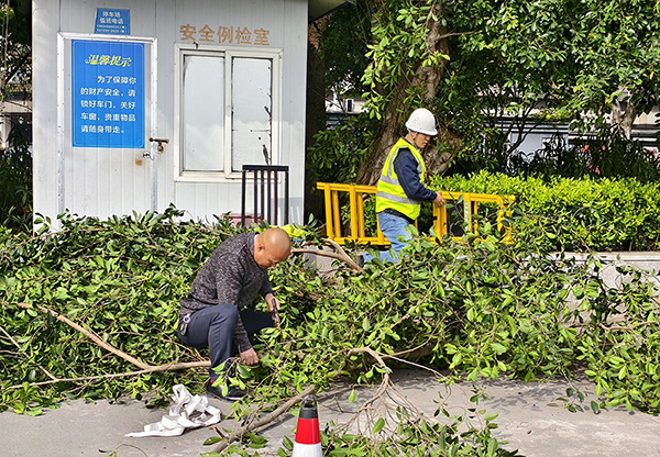 67eb8ee18b456.jpg 微信圖片_20250401142539.jpg